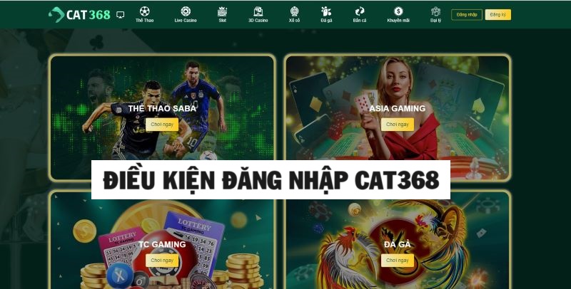 Bật mí các điều kiện cần để đăng nhập vào cat368